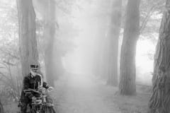 IN DE MIST