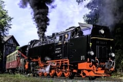 DSC3670