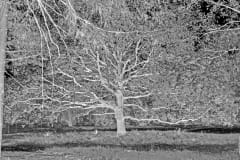 1_20200526_0060