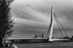 191213-zw2