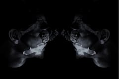 008_Faces