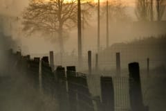 20-07  mistig goirle