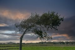 21-09-zeeland