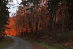 zonnebrand
